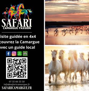 Safari Camargue Passion