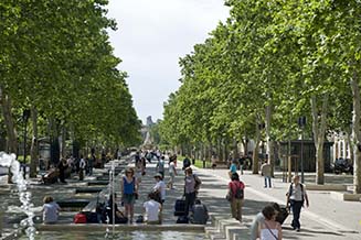 Avenue Feuchères Crédit photos D. Marck Ville de Nîmes